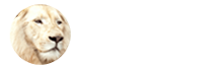 Orange Life Group Of Companies